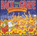 VA: - Back From The Grave Vol. 8 2LP