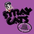 Stray Cats - Recorded Live In Amsterdam 14th July 2004