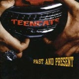 Teencats - Past And Present